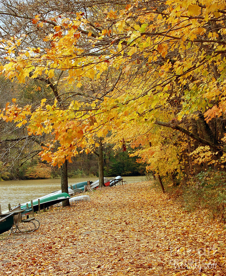 Fall Walk Photograph by Susan Stevens Crosby