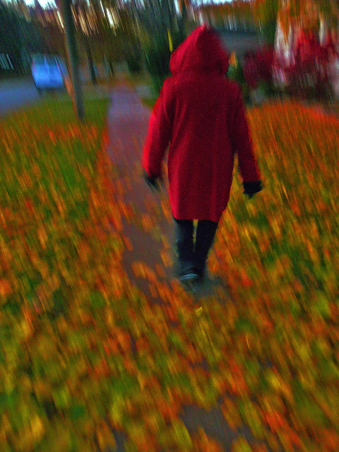 Fall walks Photograph by Dragan Kudjerski