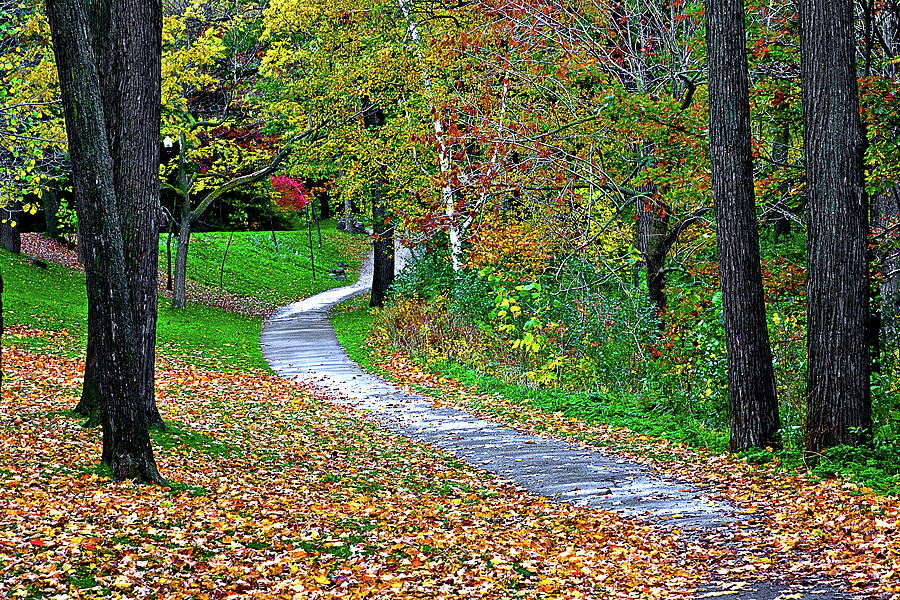 Fall Walkway Photograph by Burney Lieberman