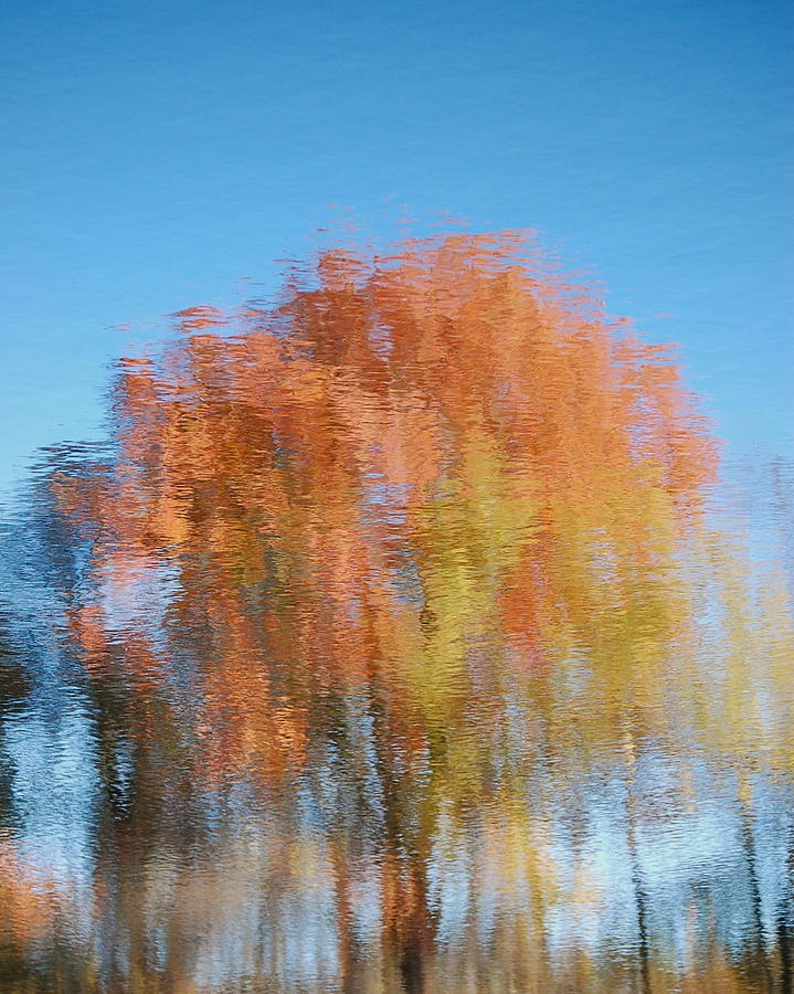 Fall Watercolor - inverted Photograph by Mary McAvoy