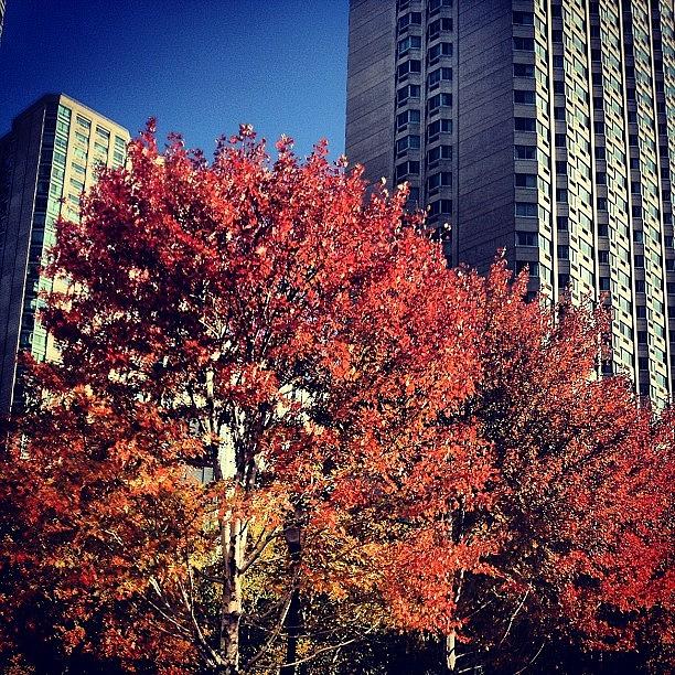 Fall Photograph - #fallchanges #autumn #seasonal by Michael Loughran