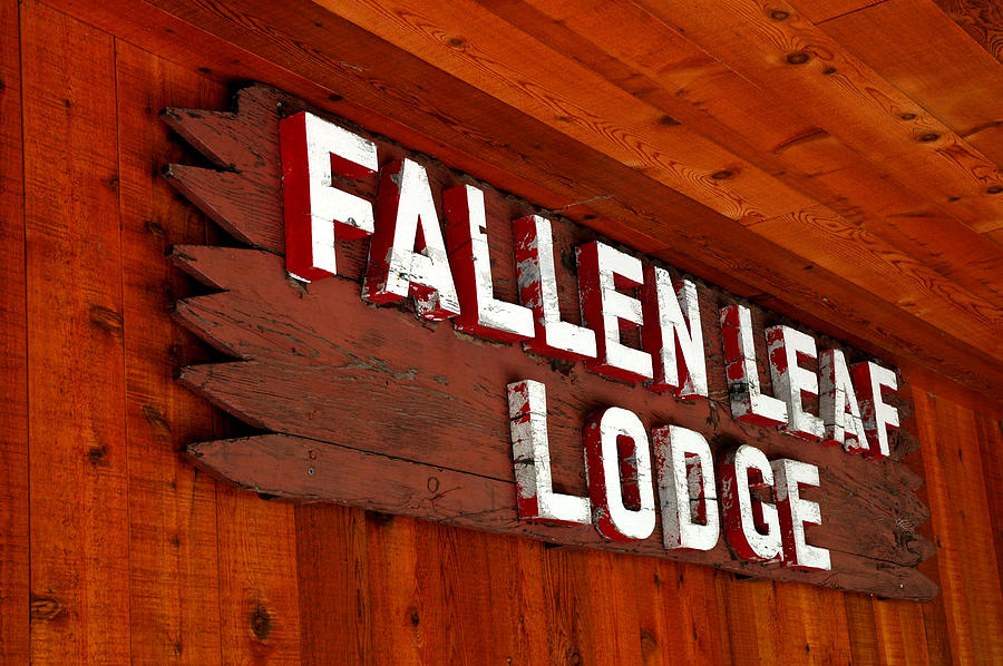 Fallen Leaf Lodge Photograph