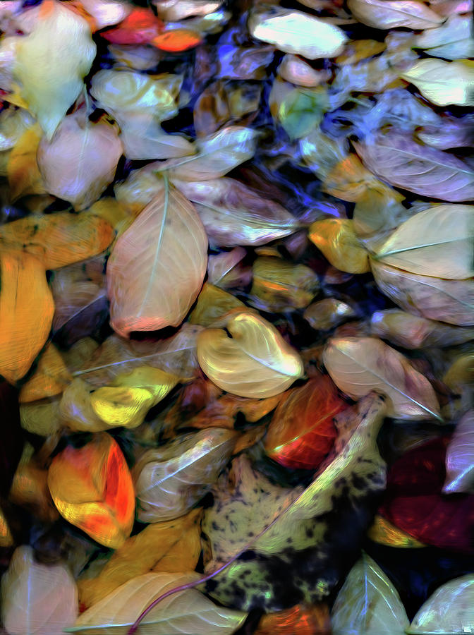 Fallen Leaves Digital Art - Fallen Leaves by Don Wright