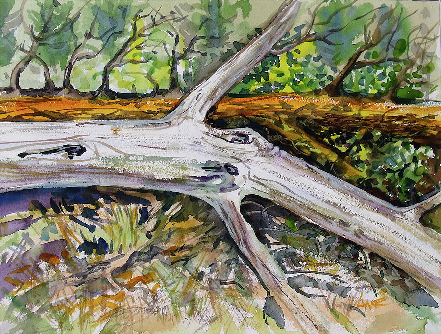 Fallen Trees Painting by Lynne Haines