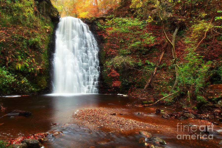 Waterfall Photograph - Falling Foss North Yorkshire by Martin Williams