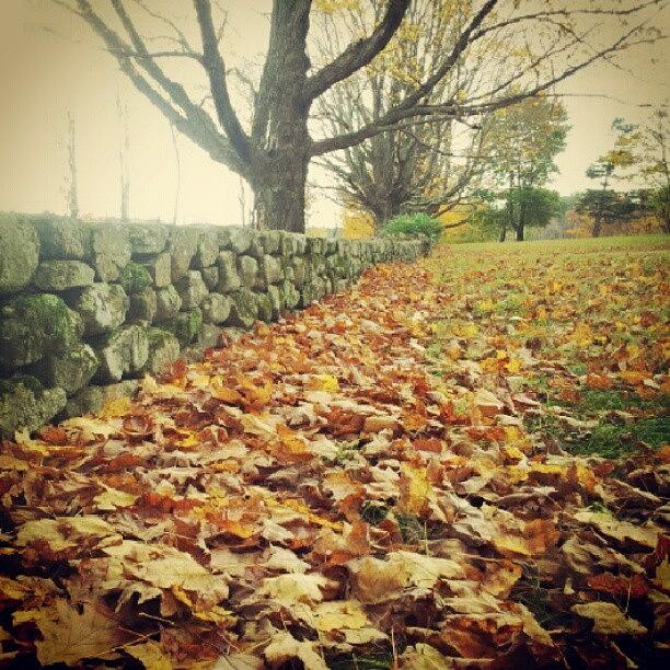 Fall Photograph - #fallingleaves #fall #farmland by Laura Vaillancourt
