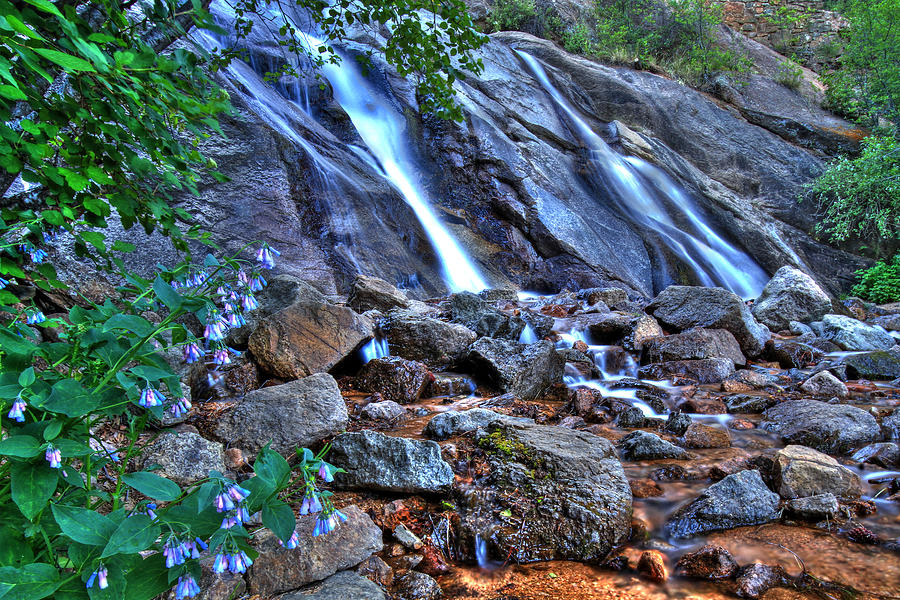 Falls and Wildflowers Photograph by Scott Mahon