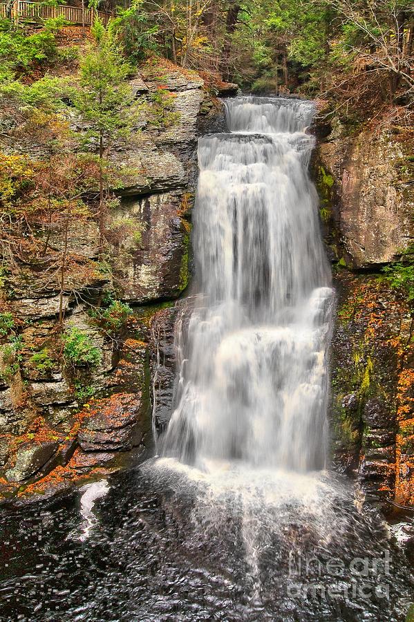 Falls at Bushkill Photograph by Nick Zelinsky Jr