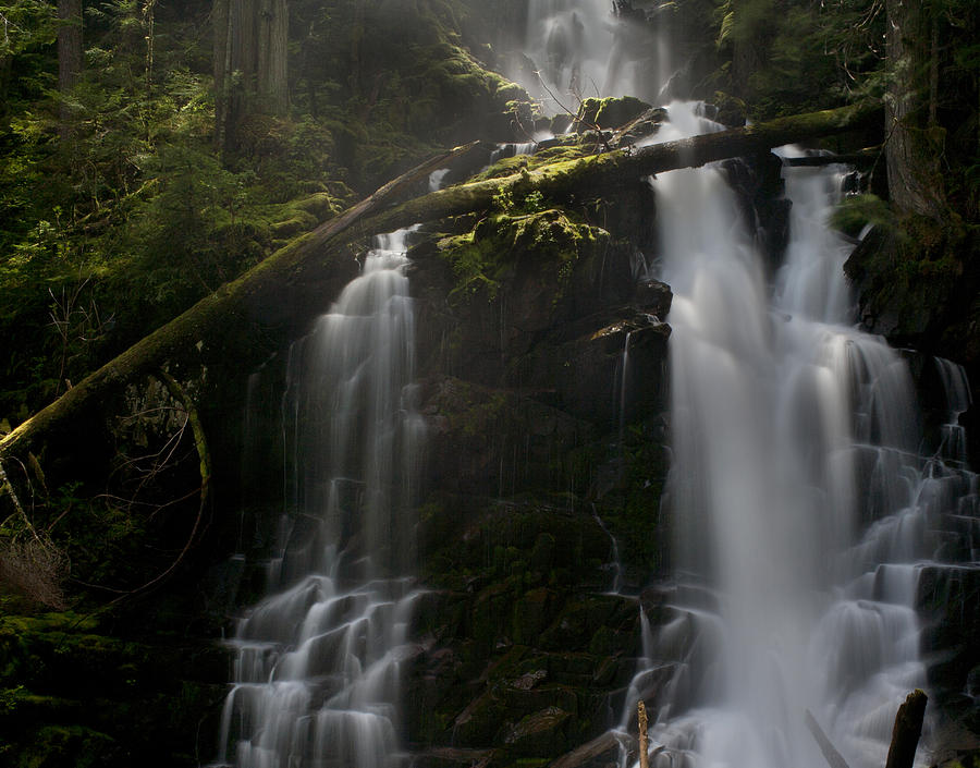 Rainier National Park Photograph - Falls Golden Light by Mike Reid