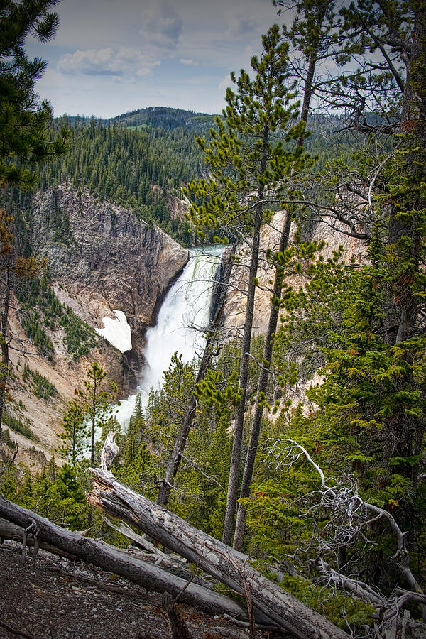 Falls in the Grand Canyon of Yellowstone Photograph by Randall Nyhof