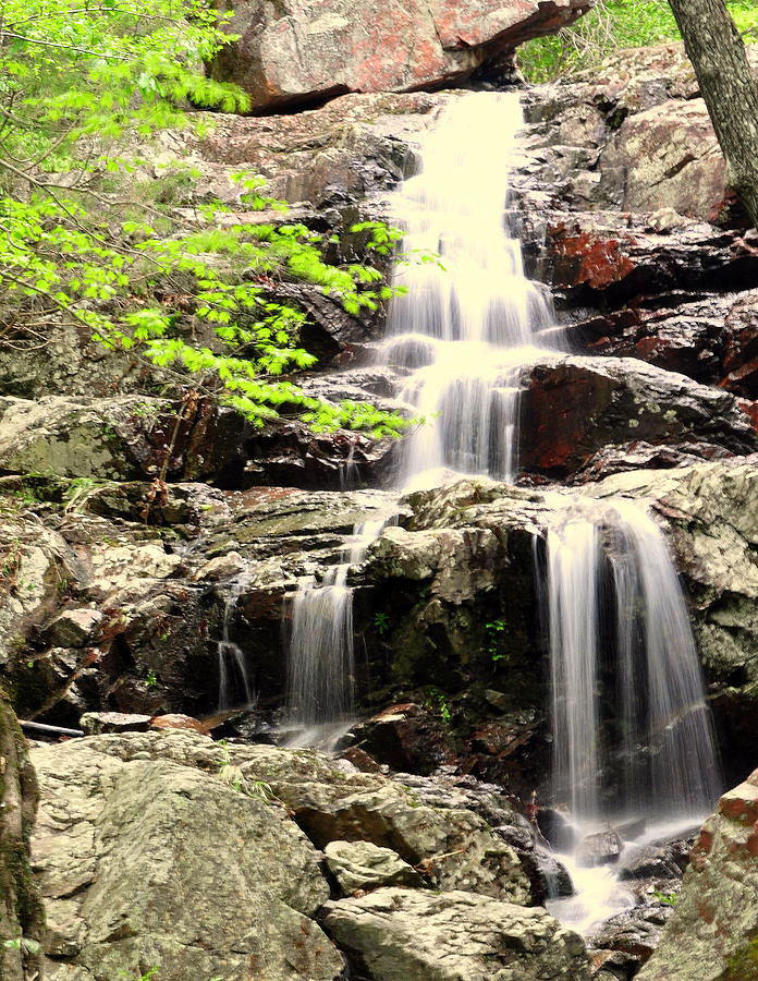 Waterfall Photograph - Falls by Marty Koch