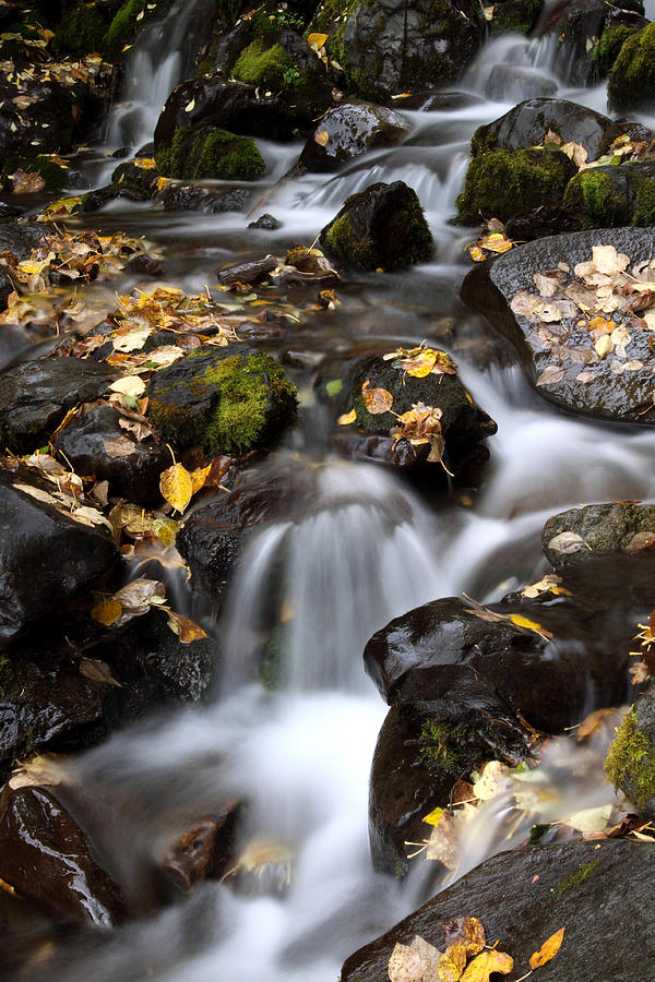 Falls Series Photograph by Doug Lloyd - Fine Art America