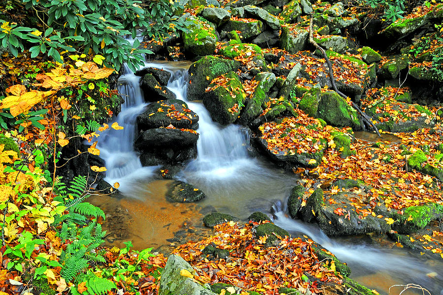 Falls Thru the Leaves Photograph by Alan Lenk