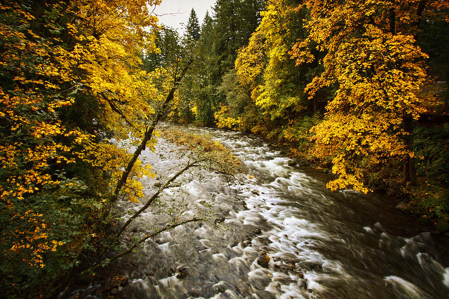 Falltime On The Salmon River Photograph by Wes and Dotty Weber