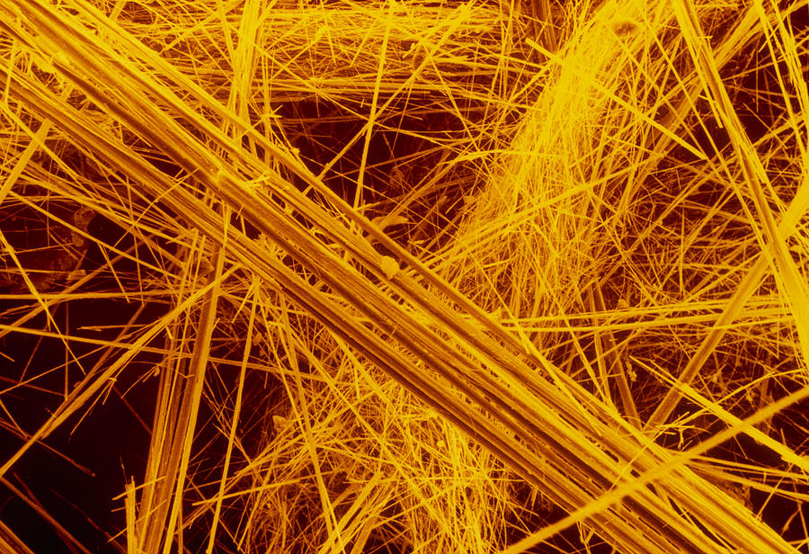 Asbestos Photograph - False Col Sem Of Amosite Fibres by Dr Jeremy Burgess