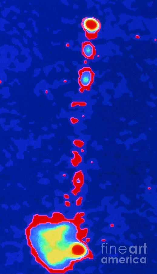 False-color Radio Map Of The Quasar Photograph by Nrao/aui/nsf