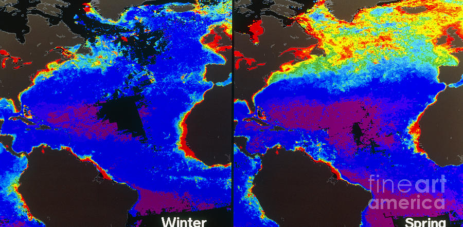 False-colour Satellite Images  by Dr. Gene Feldman, NASA Goddard Space Flight Center