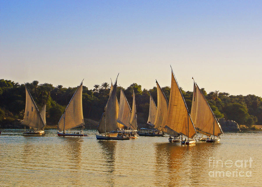 Faluccas on the Nile Photograph by Mary Machare