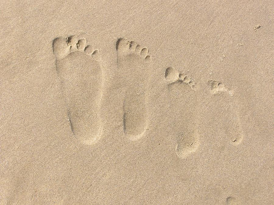 Family of Four Footprints Photograph by Sven Migot