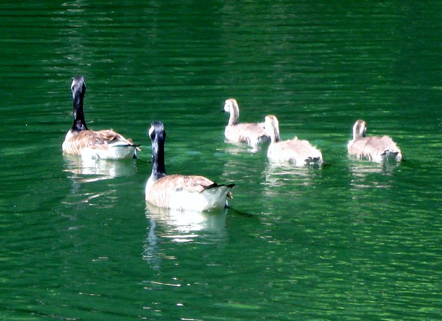 Family Outing Photograph by Kathy Benton - Fine Art America