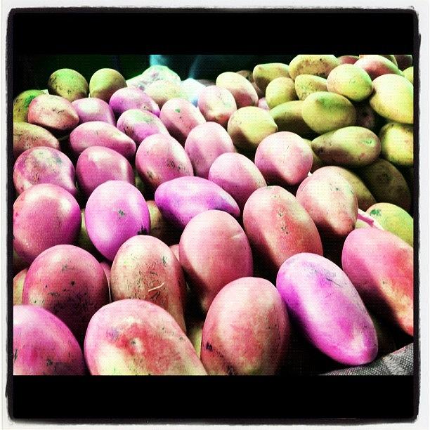 Fruit Photograph - Fancy A Mango? by Abid Saeed