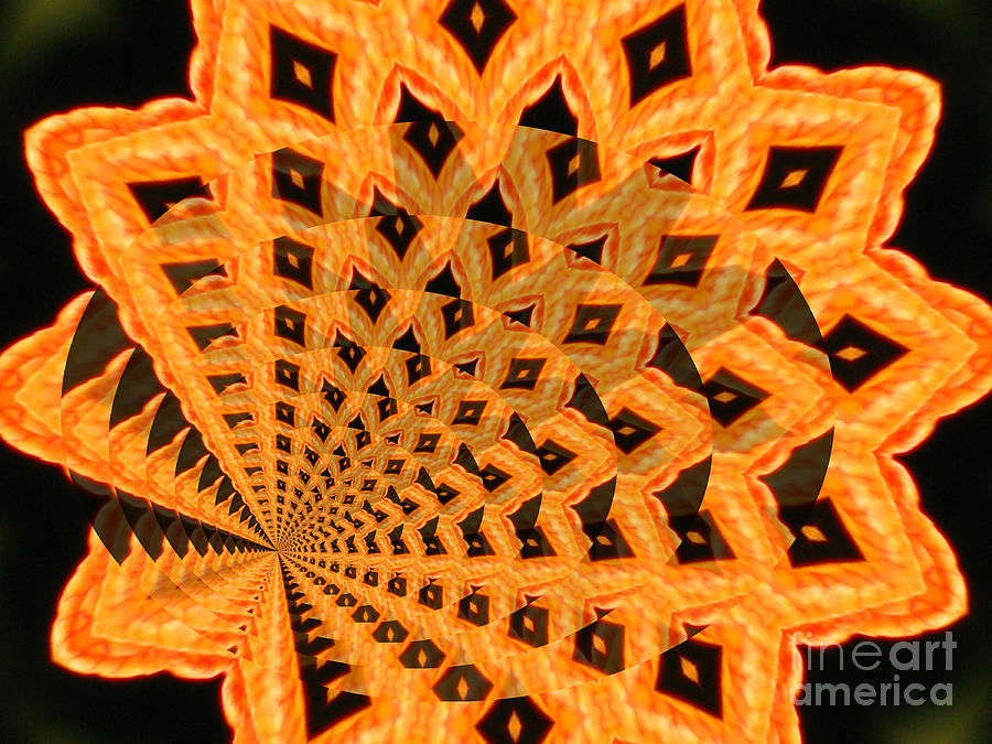 Abstract Photograph - Fancy Coral by Donna Brown
