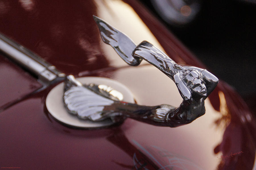 Fancy Hood Ornament Photograph by Mick Anderson