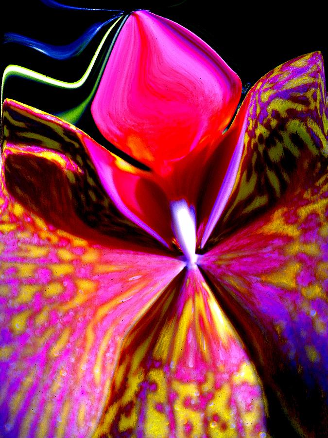 Fantasy Orchid 2 Painting by Renate Wesley