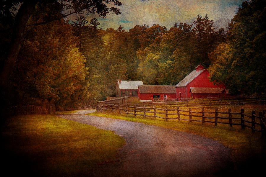 Farm - Barn - Rural Journeys  Photograph by Mike Savad