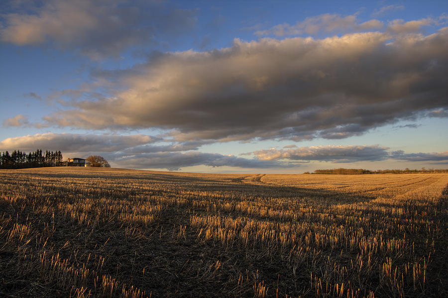 Farm And Stubble In Fall Photograph by Dan Jurak