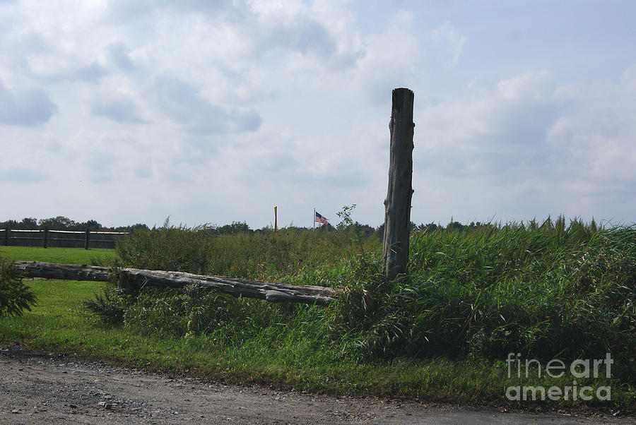 Farm Country with a Patriotic Soul Photograph by Margie Avellino