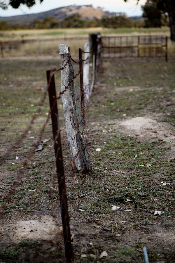 Farm Fence Photograph by Carole Hinding