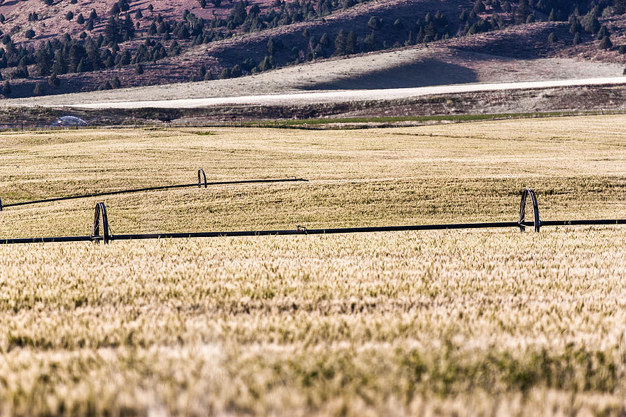 Idaho Photograph - Farm Field in Irwin 2 by Chris Fullmer Idaho Photograph - Farm Field in Irwin 2 by Chris Fullmer