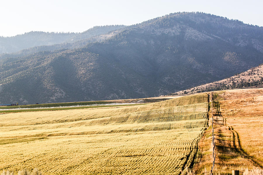 Idaho Photograph - Farm Field in Irwin 3 by Chris Fullmer Idaho Photograph - Farm Field in Irwin 3 by Chris Fullmer