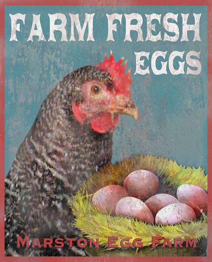 Egg Digital Art - Farm Fresh by Sharon Marcella Marston