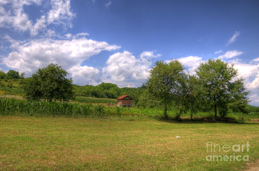 Farm house Photograph by Dejan Jovanovic