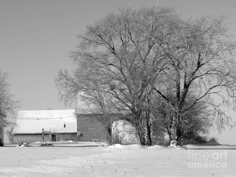 Farm in winter Photograph by David Bearden
