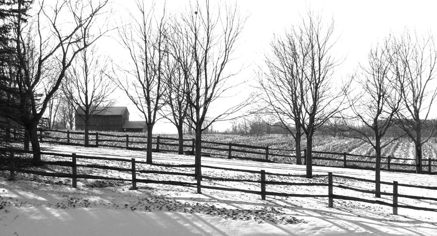 Farm in Winter Photograph by Douglas Pike