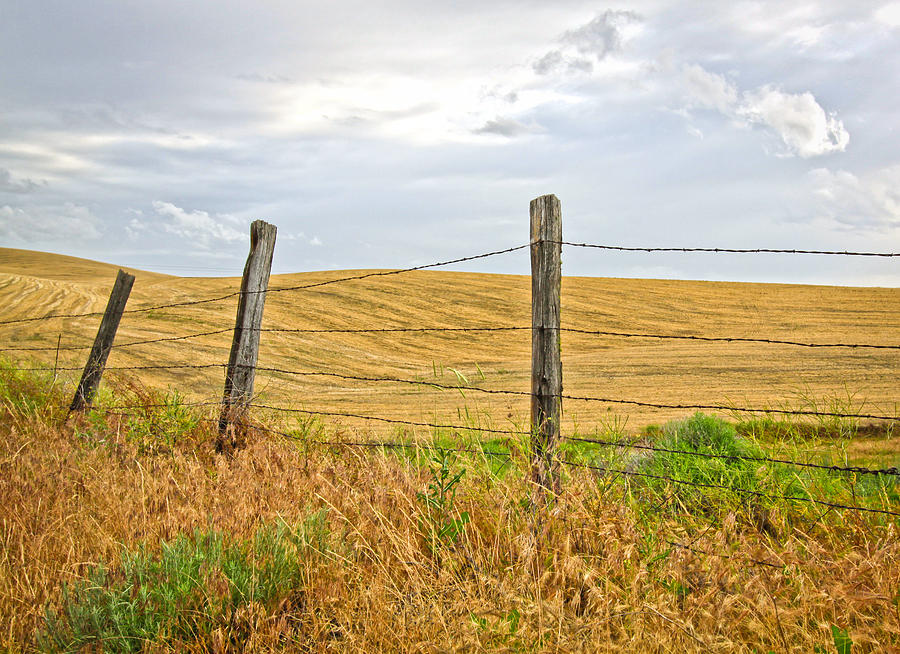 Farm Land Fence Line Photograph by Steve McKinzie