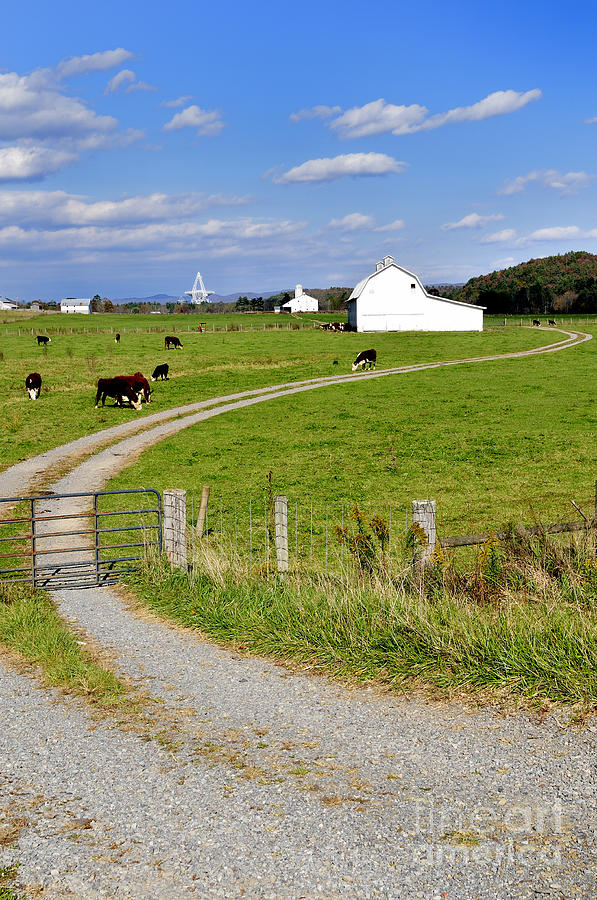 Farm near  National Radio Astronomy Observatory  Photograph by Thomas R Fletcher