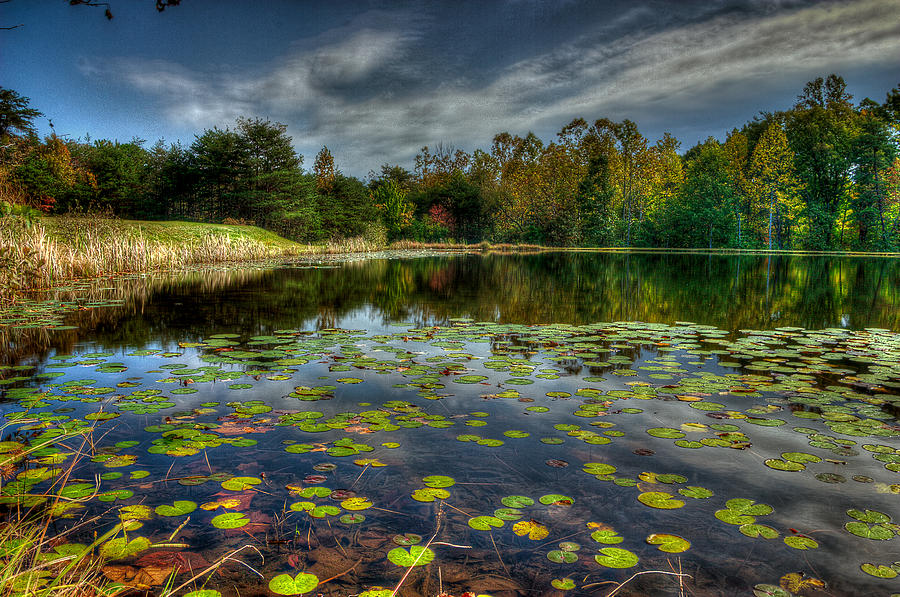 Nature Photograph - Farm Pond by Darrin Doss