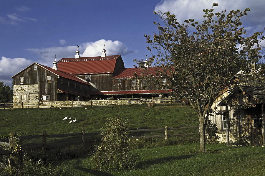 Farm Scene with Barn Photograph by Sally Weigand - Fine Art America