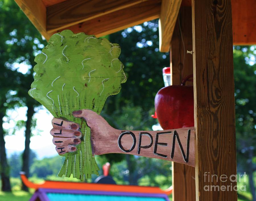 Farm Stand Open Photograph by Smilin Eyes Treasures