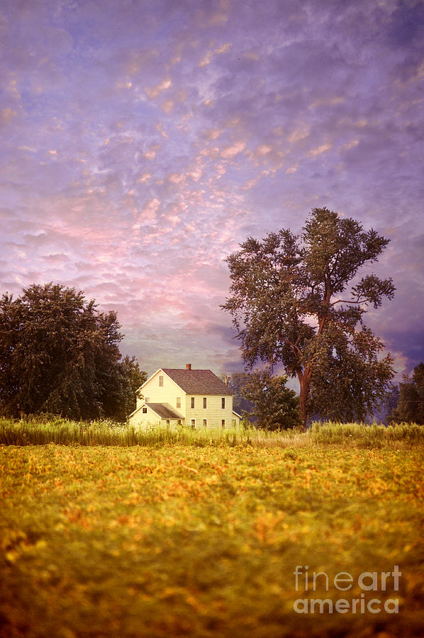 Tree Photograph - Farmhouse by HD Connelly
