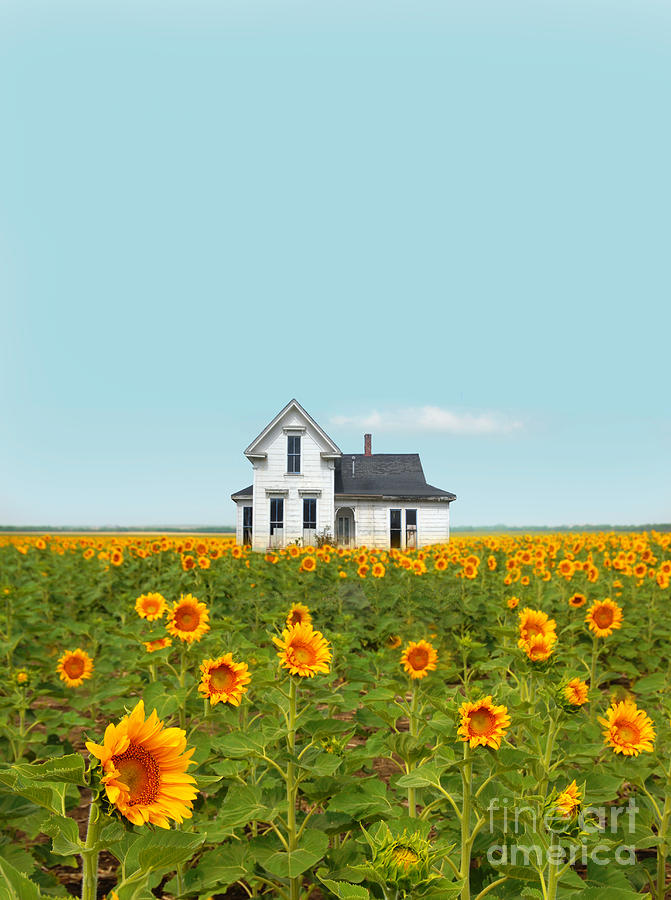 Farmhouse in a Field of Sunflowers Photograph by Jill Battaglia
