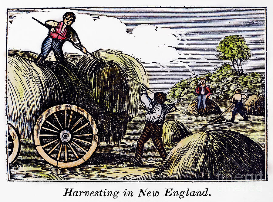 FARMING: HARVEST, 1830s Photograph by Granger
