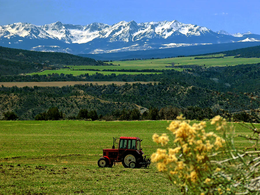 Farming in the Rockies Photograph by Rick Wicker