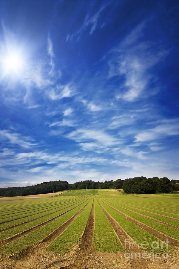 Farmland Furrows In Perspective Photograph By Simon Bratt Photography