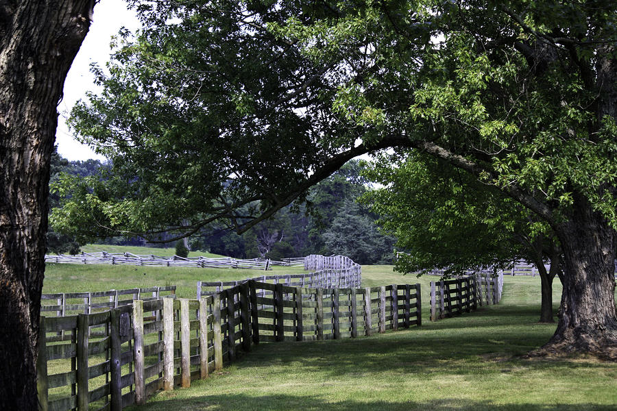 Brick Photograph - Farmland Shade Appomattox Virginia by Teresa Mucha