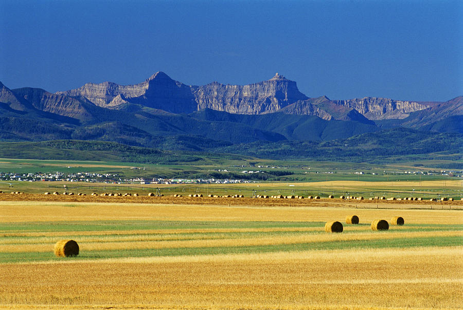 Farmland With Mountain In Background Photograph by Mike Grandmailson